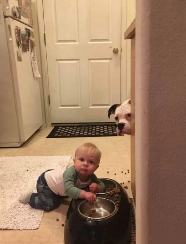 ������ ��������