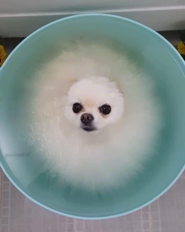 ������ ��������