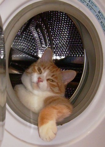 ������ ��������