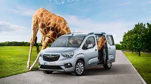 ������ ��������