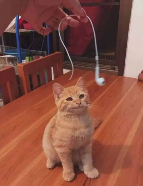 ������ ��������