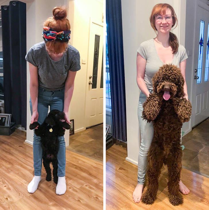 ������ ��������