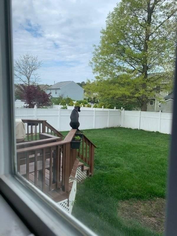 ������ ��������