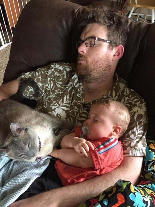 ������ ��������