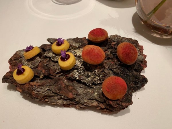 ������ ��������