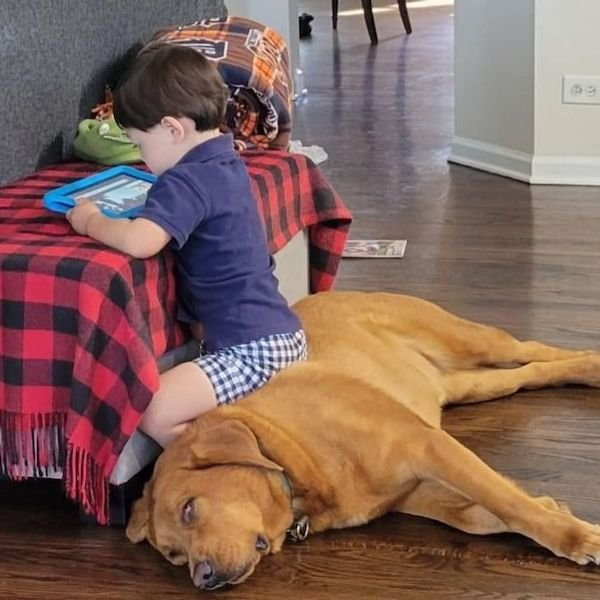 ������ ��������