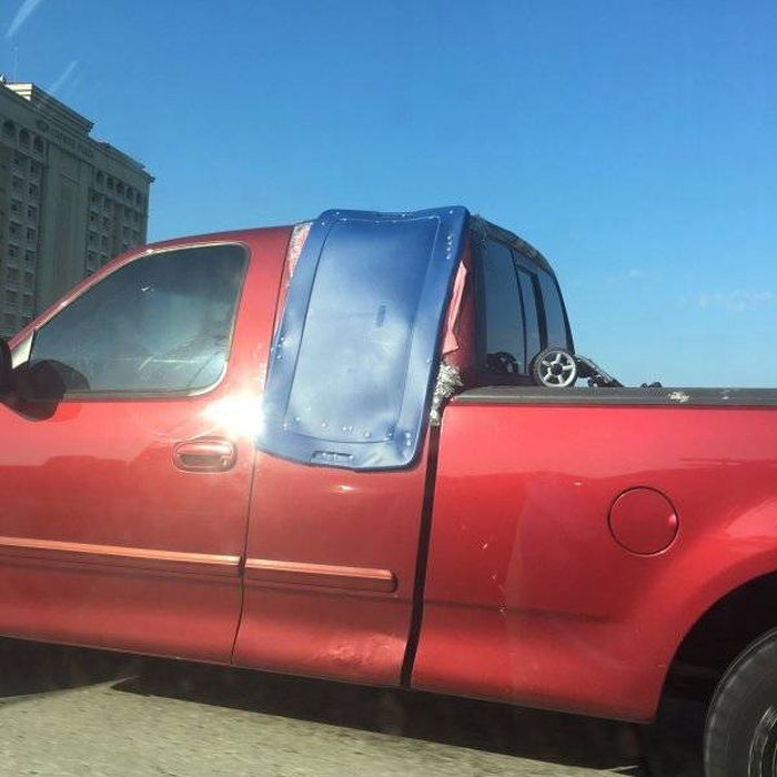 ������ ��������