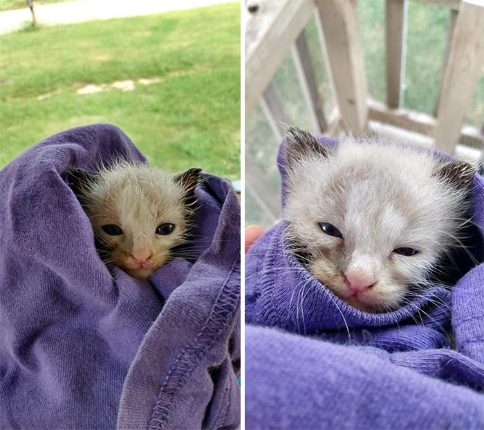 ������ ��������