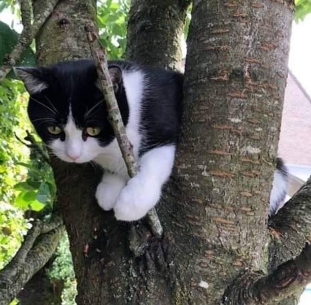 ������ ��������