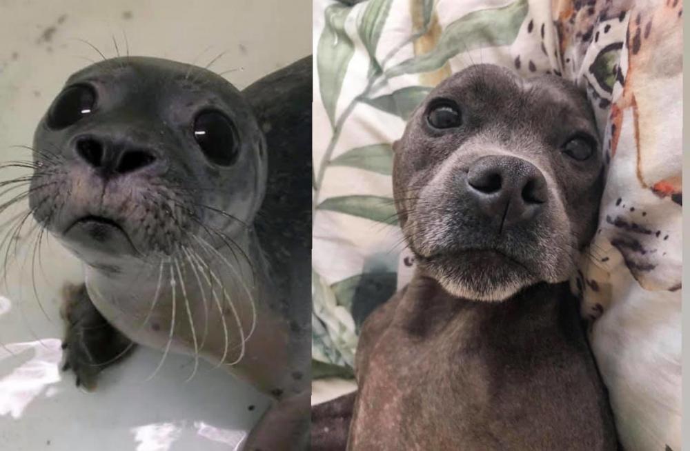 ������ ��������