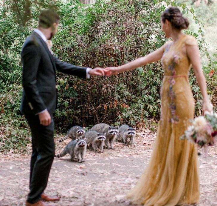 ������ ��������