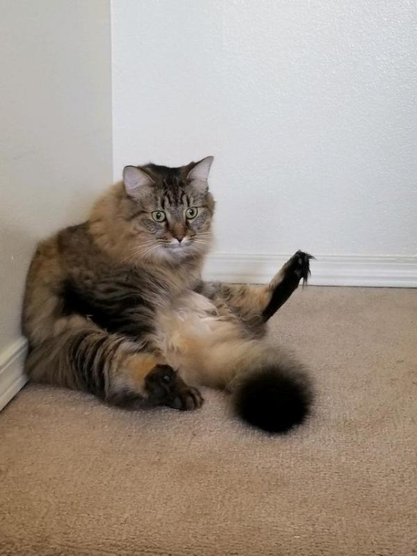 ������ ��������