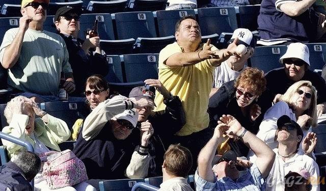 ������ ��������