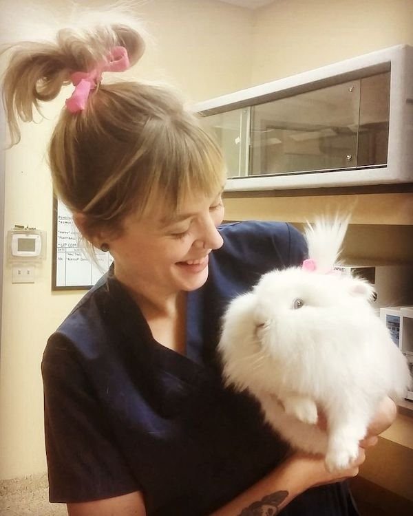 ������ ��������